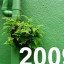 Yes to Green in 2009 Winners