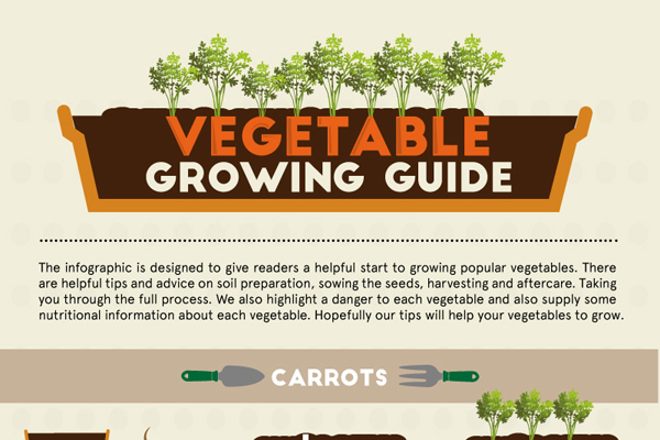 Green Behavior: Infographic: Vegetable Growing Guide
