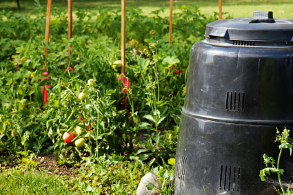 Green Behavior: Composting from Scratch