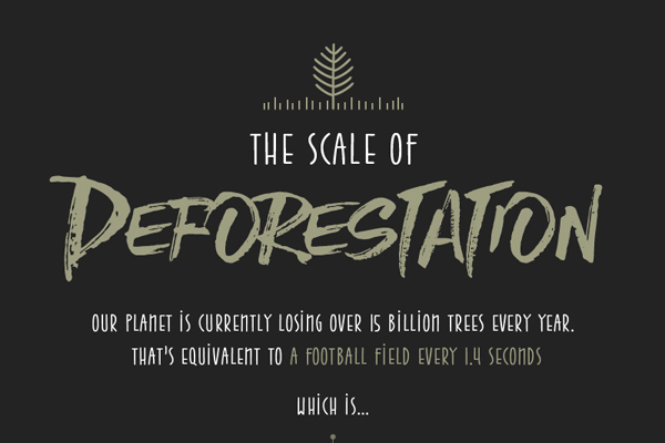 Green Behavior: Infographic: The Scale of Deforestation
