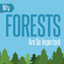 Infographic: The Importance of Forests