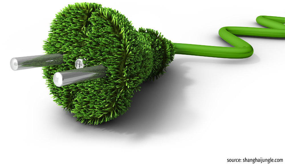 Green Behavior: Making Your Home More Energy-Efficient and Eco-Friendly