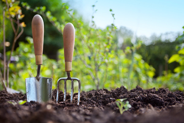 Green Behavior: How to Start an Organic Garden