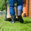 5 Organic Garden Pest Control Tips