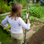 How To Build A Sustainable Vegetable Garden