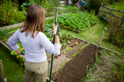 Green Behavior: How To Build A Sustainable Vegetable Garden